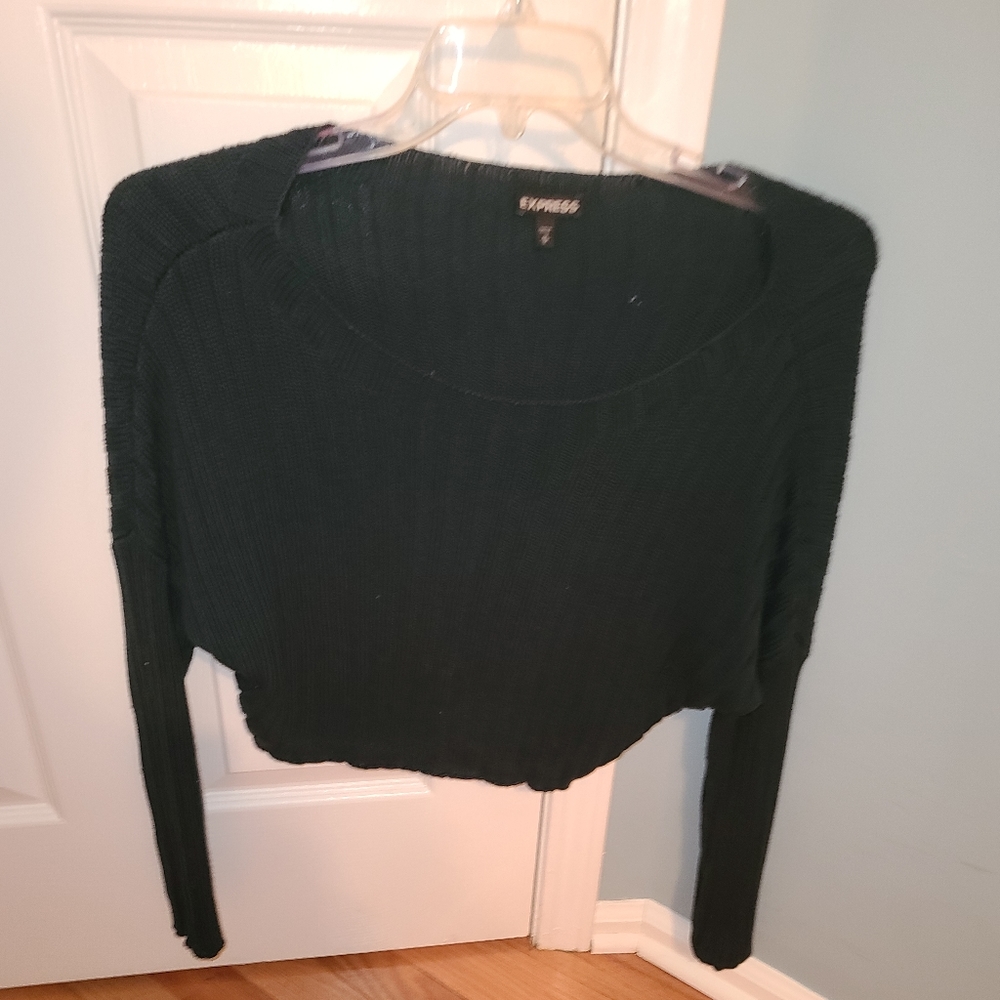 Dark Green Cropped Sweater from Express